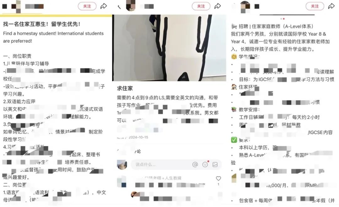第一批00后名校海归，当家教一周工作2天，月入四五万…  就业 第5张